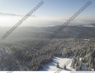 background winter nature forest 0017